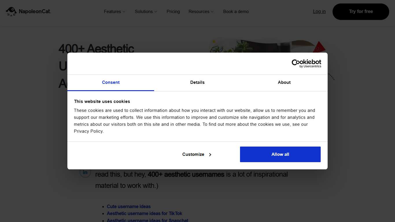 400+ Aesthetic Username Ideas to Use Across the Internet